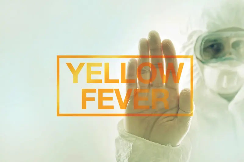 Yellow Fever Overview and Health Information
